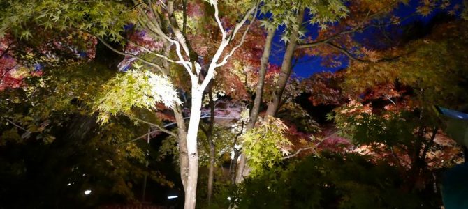 円通院のライトアップ風景写真