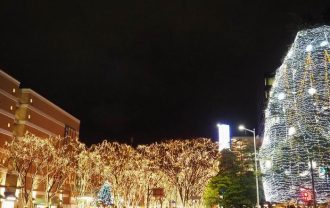 仙台光のページェントの写真画像勾当台公園から望んだ写真