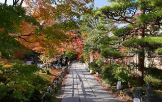 円通院の紅葉の風景