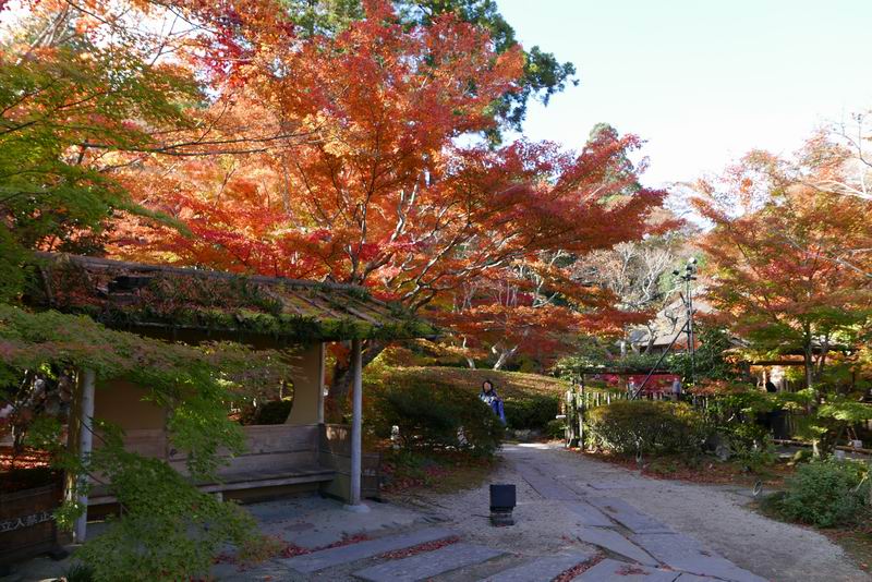 円通院の紅葉の風景
