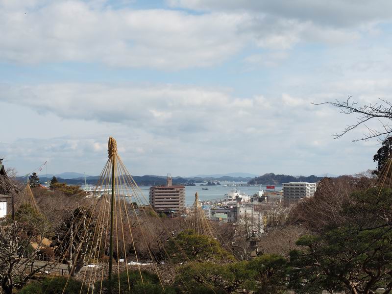 塩釜神社から港を見下ろす風景