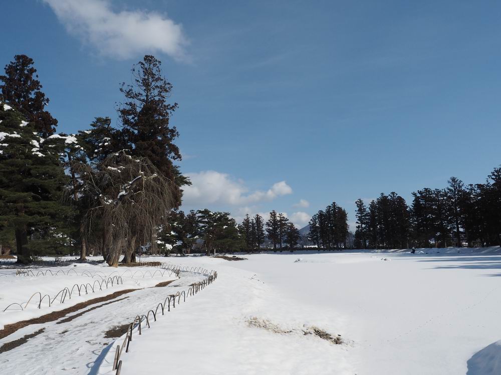 毛越寺冬の風景大泉ヶ池の風景５