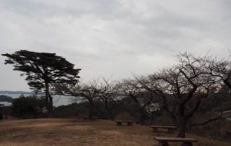 西行戻しの松公園の冬の風景写真