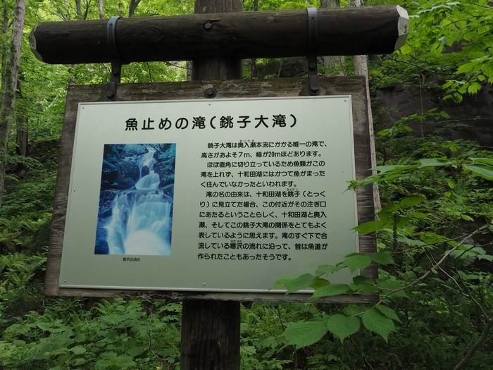 奥入瀬渓流の銚子大滝の説明書き