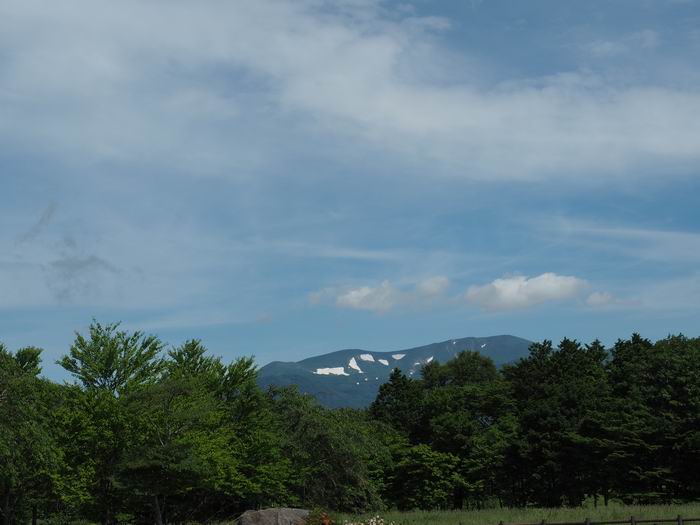 栗駒山の夏7月の風景写真