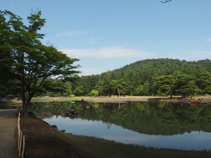 毛越寺初夏の風景写真の画像