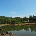 毛越寺初夏の風景写真の画像