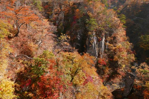 鳴子峡の紅葉の風景写真