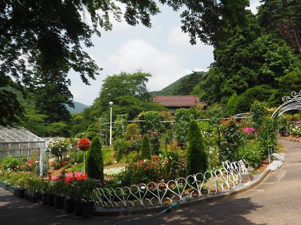 花巻温泉のバラ園の風景写真