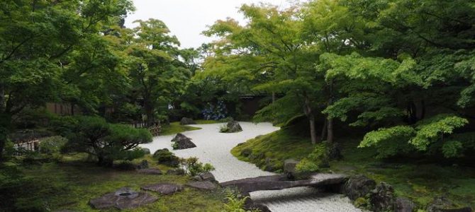 円通院の夏の庭園の風景写真