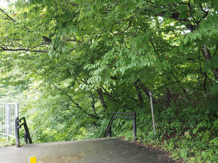 秋保大滝の遊歩道の入り口風景の写真