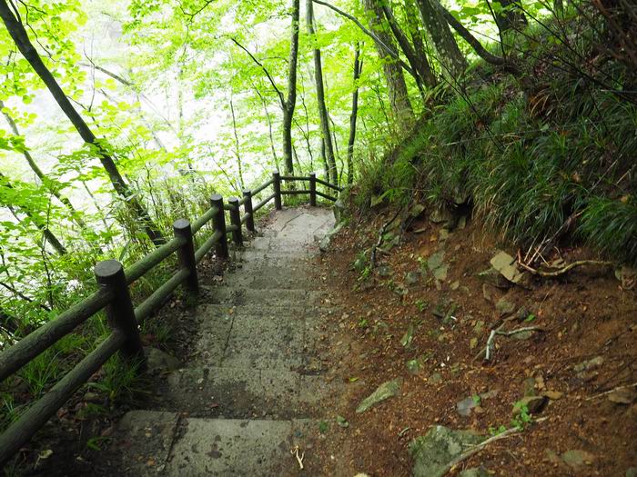 秋保大滝の遊歩道の坂道の写真