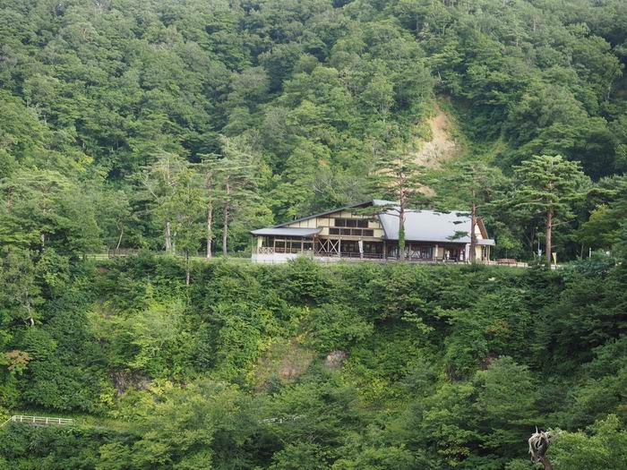 鳴子峡レストハウスの風景写真