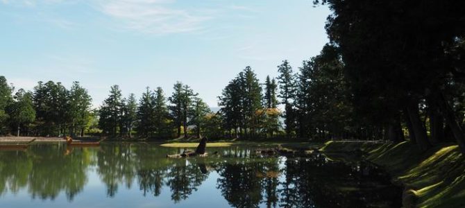 毛越寺の大泉ヶ池の初秋の風景写真