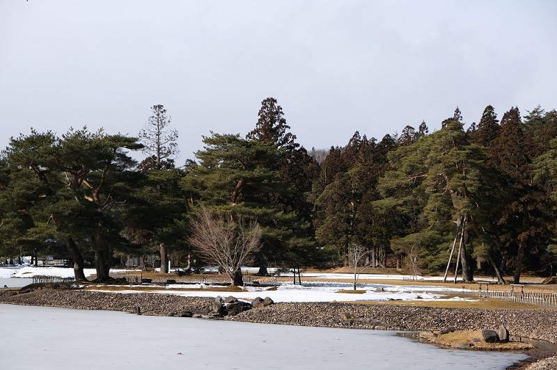 xt3で撮影する毛越寺大泉ヶ池の冬の風景写真
