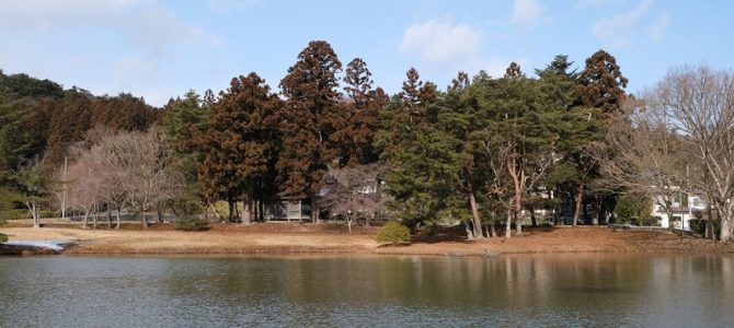 x-t3で撮る観自在王院跡の風景舞鶴ヶ池に浮かぶ中島の風景