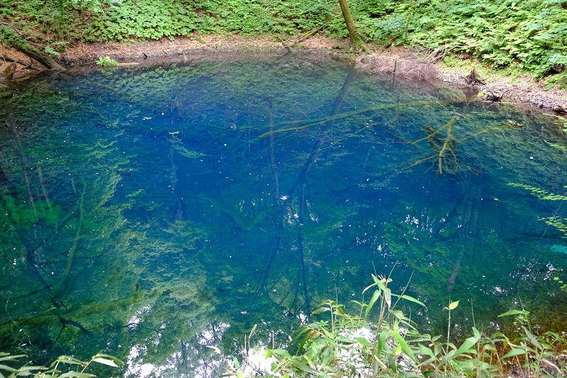 X-T3で撮影した青池の風景写真
