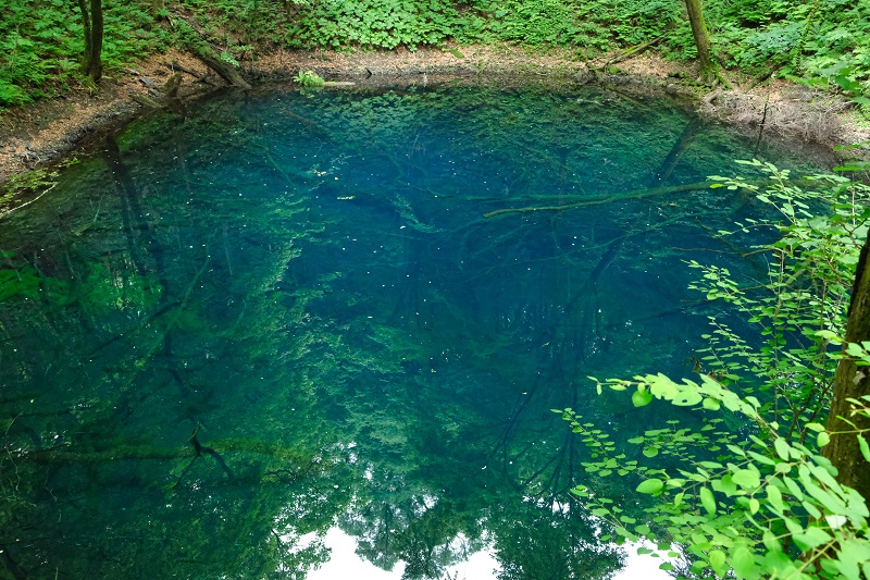 X-T3で撮影した青池の風景写真