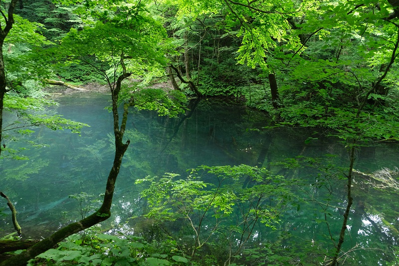 沸壺の池の景色 風景写真