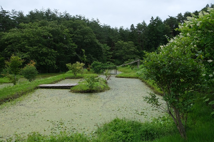 樹木葬知勝院の自然の風景写真