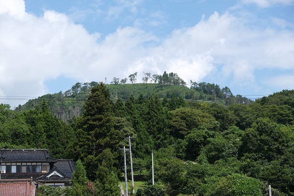 シャトルバス駐車場から見上げた亀山