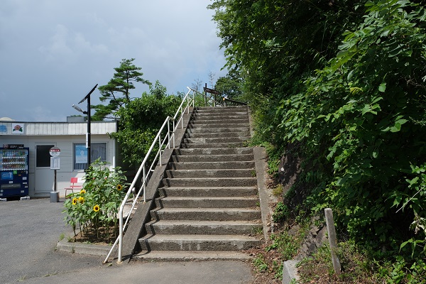 亀山山頂までの遊歩道の風景写真