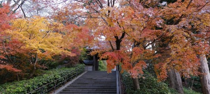 円覚寺の山門と紅葉